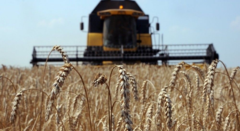 Ukraine Exports Over 11 Mln Tonnes Of Grains Since July 1 | UNIAN