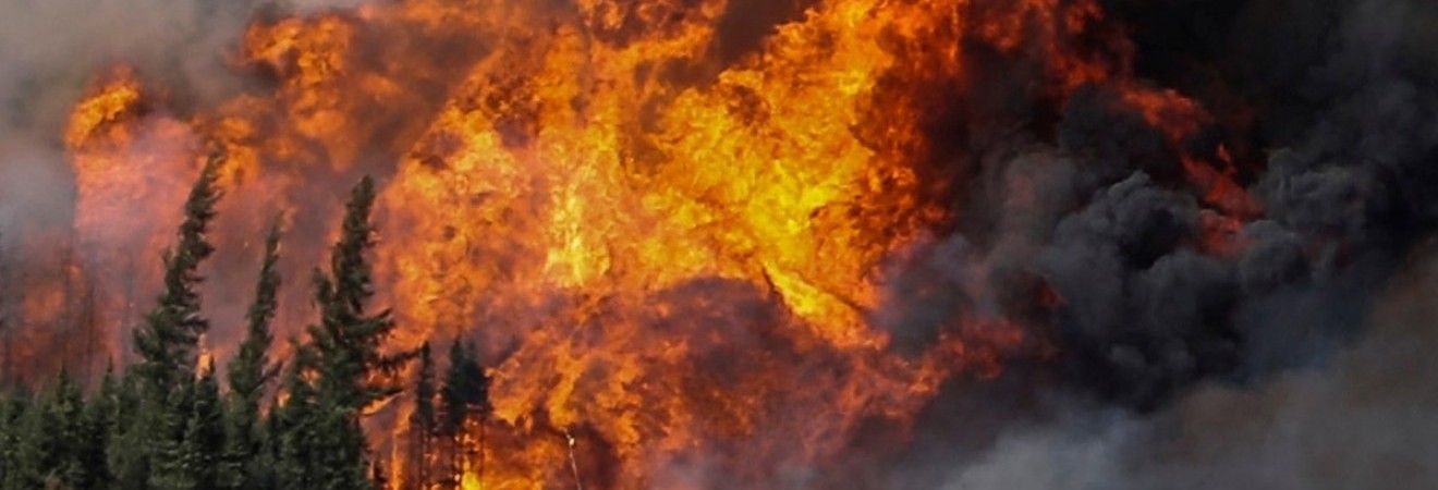 Пожежа у Бразилії знищила 155 тисяч га лісу