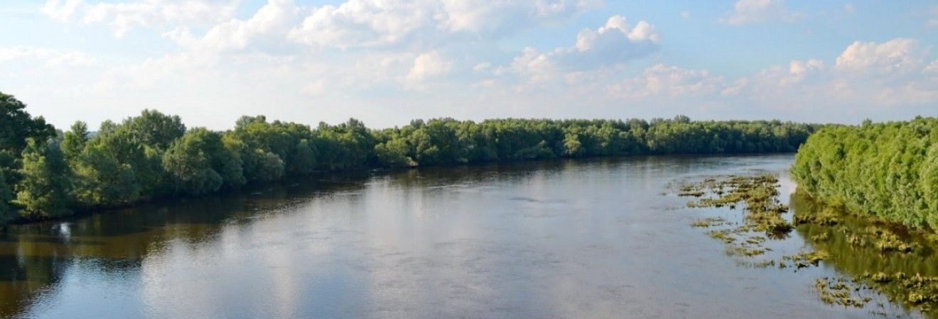 С начала года на водоемах Украины погибли 186 человек