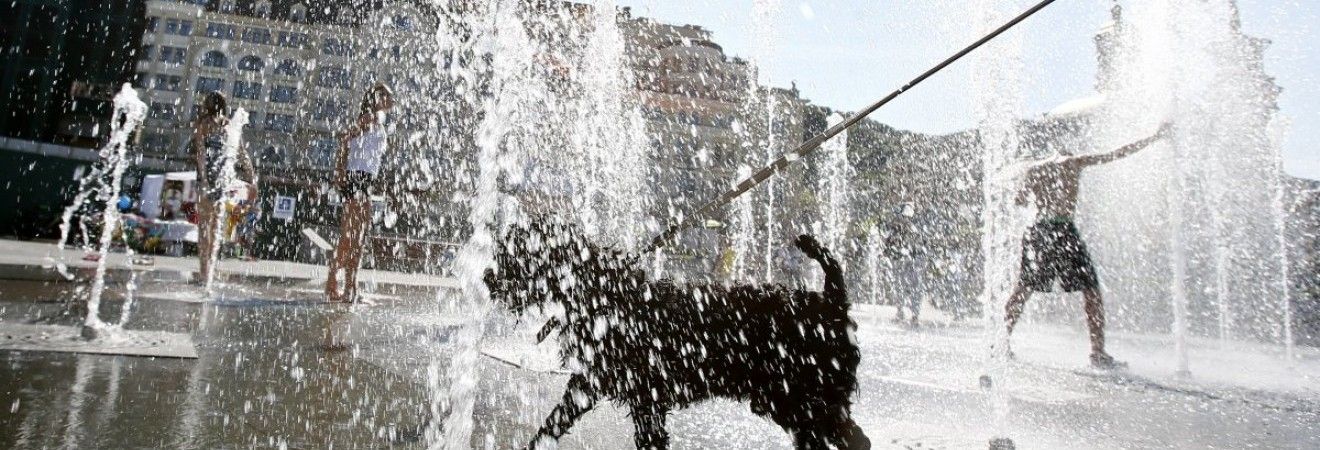 Похолодание в Украине начнется со второй половины августа - синоптик