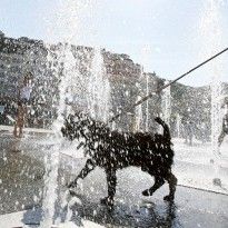 Сухо и очень жарко: появился прогноз погоды в Украине на завтра