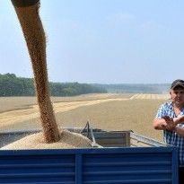 Record 75 mln tonnes of grain collected in Ukraine in 2019