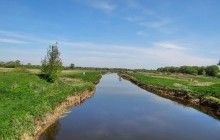 На Чернігівщині у притоці Десни зафіксовано загибель риби