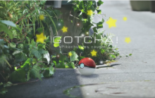 Игра Pokémon Go выпустила покемонов в реальный мир (видео)