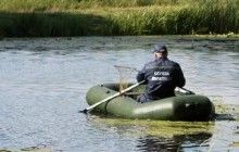 Мор риби в Острі: у Чернігівській ОДА заявили про покращення екологічного стану річки
