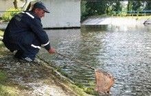 У Чернігівській ОДА ситуацію на річці Остер вважають контрольованою