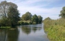 В Житомирской области в реке утонула 2-летняя девочка