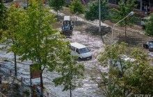 Из-за урагана в Беларуси пострадали 36 человек