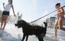 В Украине сегодня на западе пройдут дожди, температура до +30° (карта)