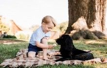 В третий день рождения принца Джорджа королевская семья показала его новые фото