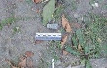Житель Одесской области застрелил односельчанина, обидевшись из-за жженых листьев