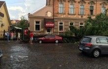 Мощный ураган пронесся в Ужгороде: старые деревья вырывало с корнями (фото, видео)
