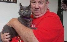 В США пропавшая кошка нашлась спустя более 10 лет
