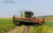 На Тернопільщині знову згорів комбайн