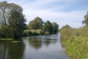 Зберегти воду: українські водойми потерпають від забруднення