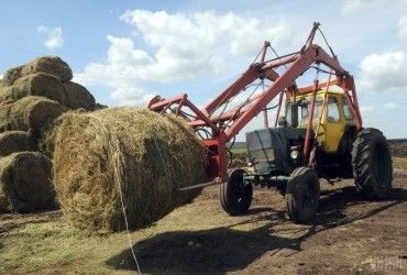 Солома, мусор и камыш: в Нафтогазе нашли для ТЭЦ альтернативу дорогому газу