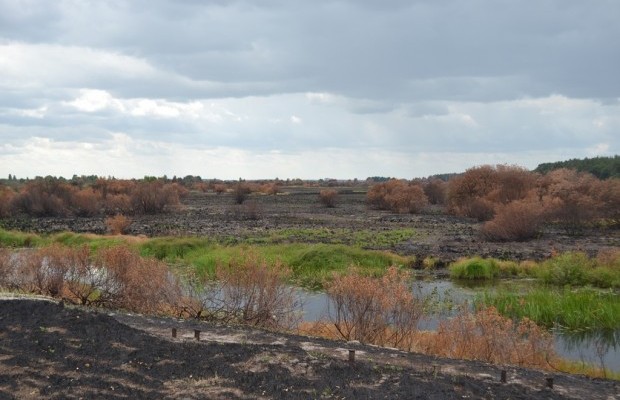 Білорусь відкрила для туристів Чорнобильську зону відчуження (відео)