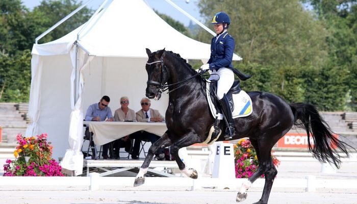 Логутенкова и Дон Грегориус заняли 41-е место / diamond-horse.com Логутенкова и Дон Грегориус заняли 41-е место / diamond-horse.com