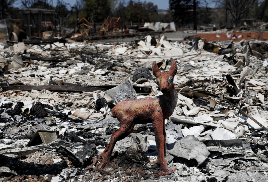 REUTERS REUTERS