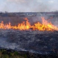 Укргидрометцентр предупреждает о пожарной опасности