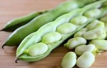 Растительный белок способствует продлению жизни - исследование