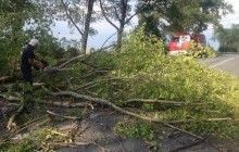 На Тернопільщині рятувальники звільнили дорогу від повалених вітром дерев