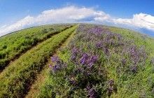 Чиновники начали работу над повышением туристической привлекательности природно-заповедного фонда Украины
