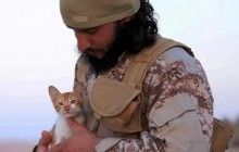СМИ: Боевики ИГИЛ решили смягчить свой имидж, используя котят