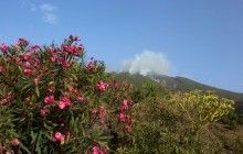 Пожар в раю: в Испании продолжают ликвидировать последствия неумышленного поджога в лесу (фоторепортаж)
