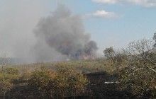 В Донецкой области спасатели ликвидировали масштабный пожар в экосистеме