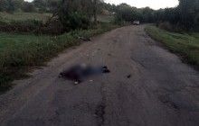 На Полтавщине полиция задержала водителя, который на смерть сбил трех пешеходов и скрылся