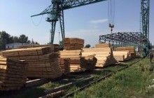 ГПУ вилучила незаконно вирубані лісоматеріали на суму понад 1 мільйон гривень (фото)