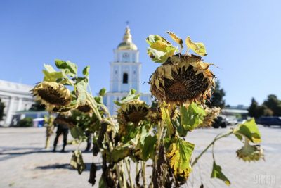 Фото Выставка ко 2-й годовщине трагедии под Иловайском «Блокпост Памяти» в Киеве 28 августа 2016