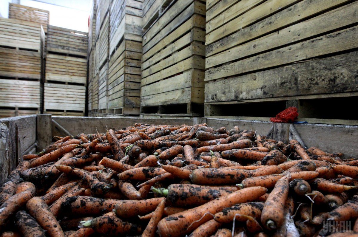 Продукція рослинництва за звітний період подорожчала на 7,3% / фото УНІАН Продукція рослинництва за звітний період подорожчала на 7,3% / фото УНІАН
