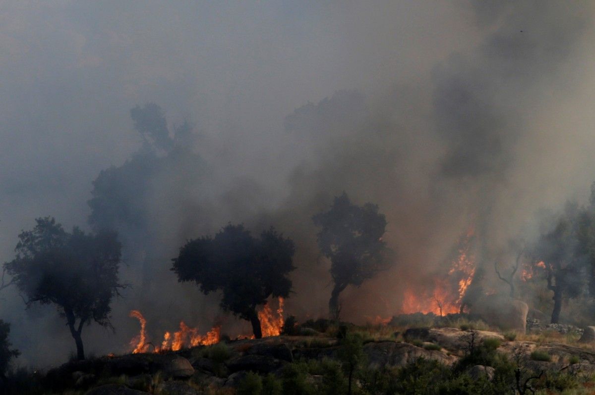 Reuters Reuters