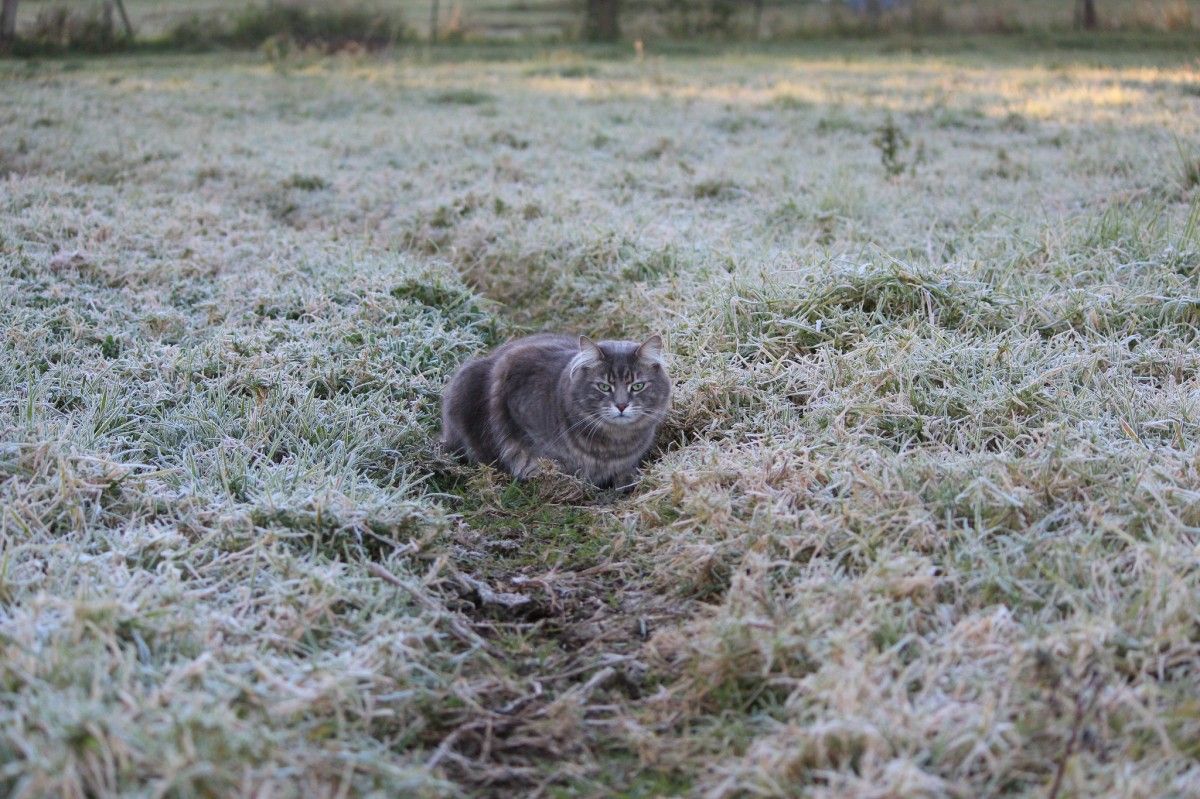 фотgetbg.net фотgetbg.net