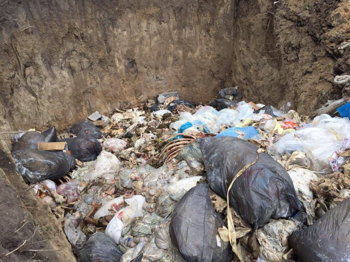 могильник / kobl.gp.gov.ua могильник / kobl.gp.gov.ua