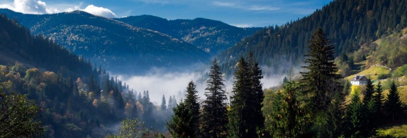 В Украине завтра будет тепло и без осадков (видеопрогноз)
