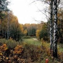 Сегодня в Украине без осадков, на юге температура до +12° (карта)