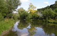 На Хмельниччині киянка, що приїхала на арт-фестиваль, зірвалася з вершини скелі