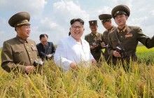 Reuters: N. Korea earned $200 mln from banned exports, sends arms to Syria, Myanmar – U.N. report