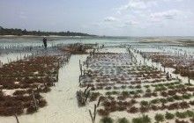 Число жертв землетрясения в Танзании увеличилось до 16