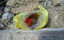 На Херсонщине прямо возле школы нашли взрывчатку (фото)