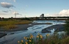 Токсические "пылевые бури" угрожают жителям столичных Позняков