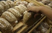 У Росії цього року введуть для незаможних картки, бали з яких можна обміняти на продукти