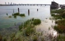 У центрі Києва посеред Дніпра можуть з’явитися нові острови (фоторепортаж)