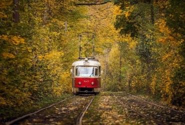 Кияни пережили неймовірно теплий жовтень: якою була температура (інфографіка)