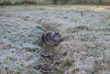 Конец апреля принесет в Украину похолодание: температура упадет до +1° (карта)