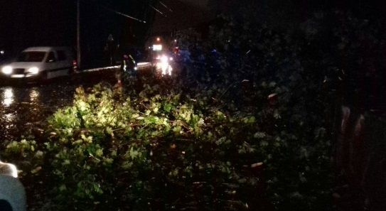 НП у Львівській області НП у Львівській області
