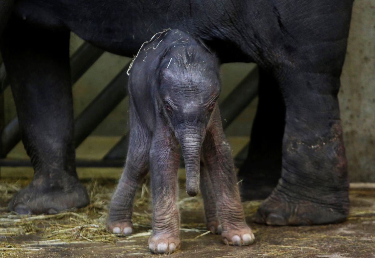 REUTERS REUTERS